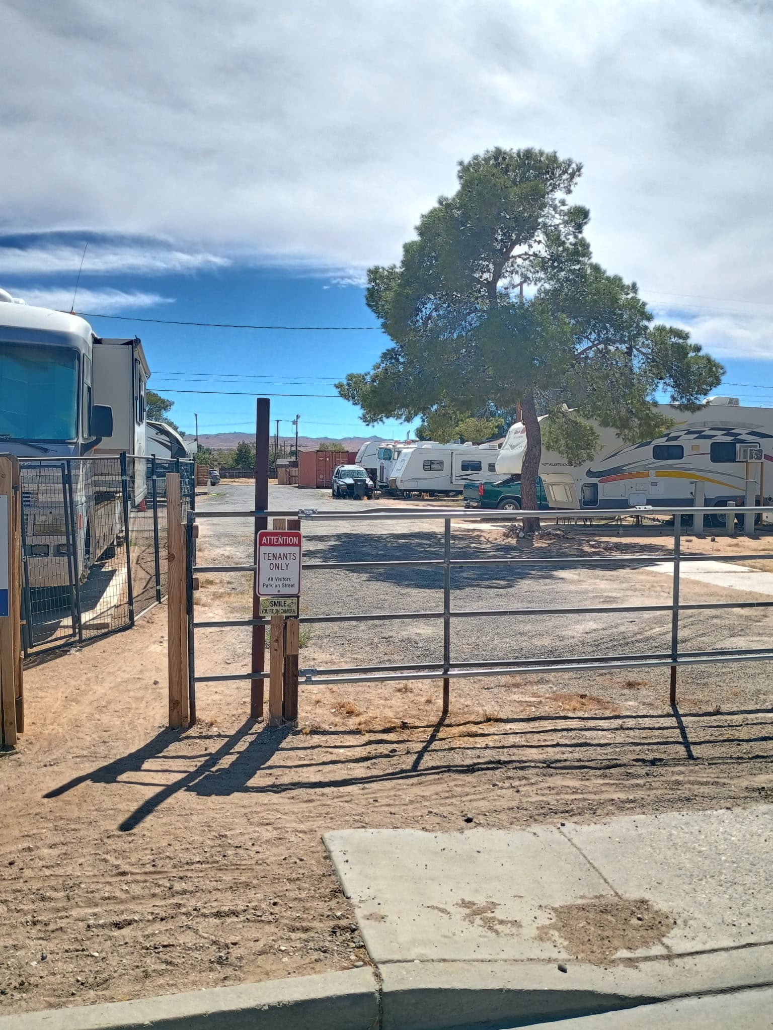 The front gate at Village Lane RV Park, with a tall pine and RVs inside